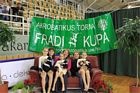 Fradi Kupa