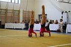 Grassalkovich Kupa