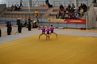 III. Puente Kupa