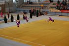 III. Puente Kupa