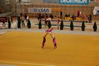 III. Puente Kupa