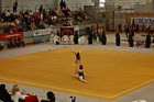III. Puente Kupa