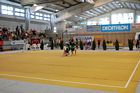 III. Puente Kupa