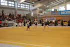 III. Puente Kupa