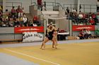 III. Puente Kupa