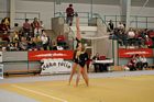 III. Puente Kupa