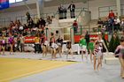 III. Puente Kupa