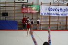 Diákolimpia