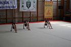 Diákolimpia