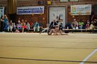 I. Base Kupa