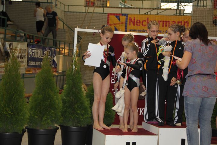 IV. Puente Kupa