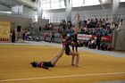IV. Puente Kupa
