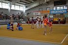 IV. Puente Kupa