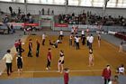 IV. Puente Kupa