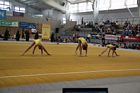 IV. Puente Kupa