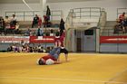IV. Puente Kupa