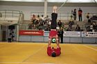IV. Puente Kupa