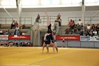 IV. Puente Kupa
