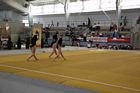 IV. Puente Kupa