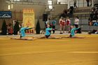 IV. Puente Kupa