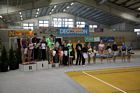 IV. Puente Kupa
