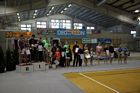 IV. Puente Kupa