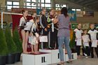 IV. Puente Kupa
