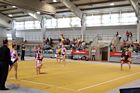 IV. Puente Kupa