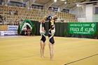VII. Fradi Kupa