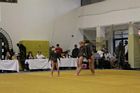 Grassalkovich kupa