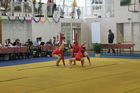 III. Abony kupa