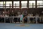 Utánpótlás Kupa + Kézállófa Kupa