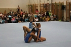 Grassalkovich kupa