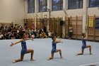 Grassalkovich kupa