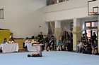 Grassalkovich kupa