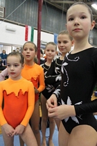 Magyar Bajnokság