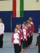 Magyar Bajnokság