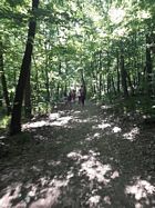 Kirándulás